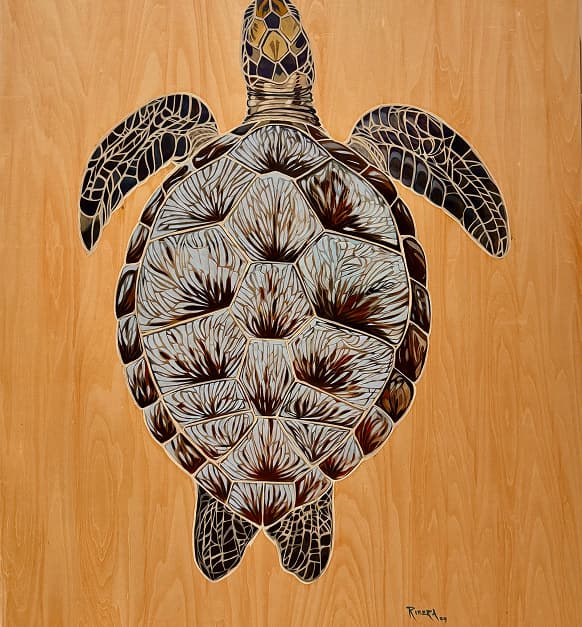 Sea Turtle – Series 1