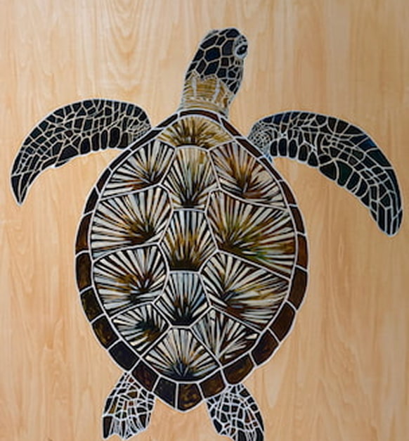 Sea Turtle – Series 2